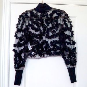 Zara Black Organza Top. Excellent Condition. NWT.